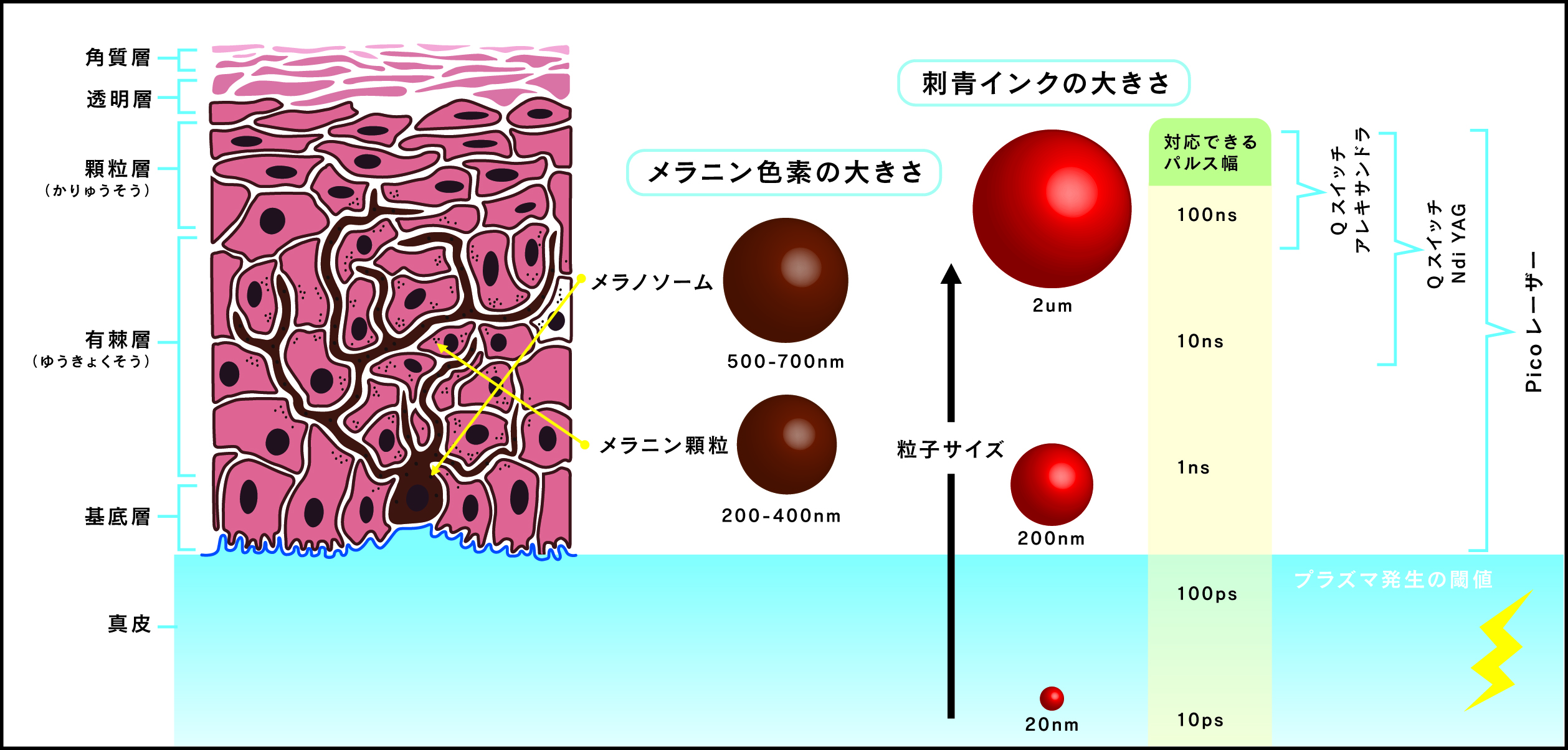 ピコレーザー熱影響少ない